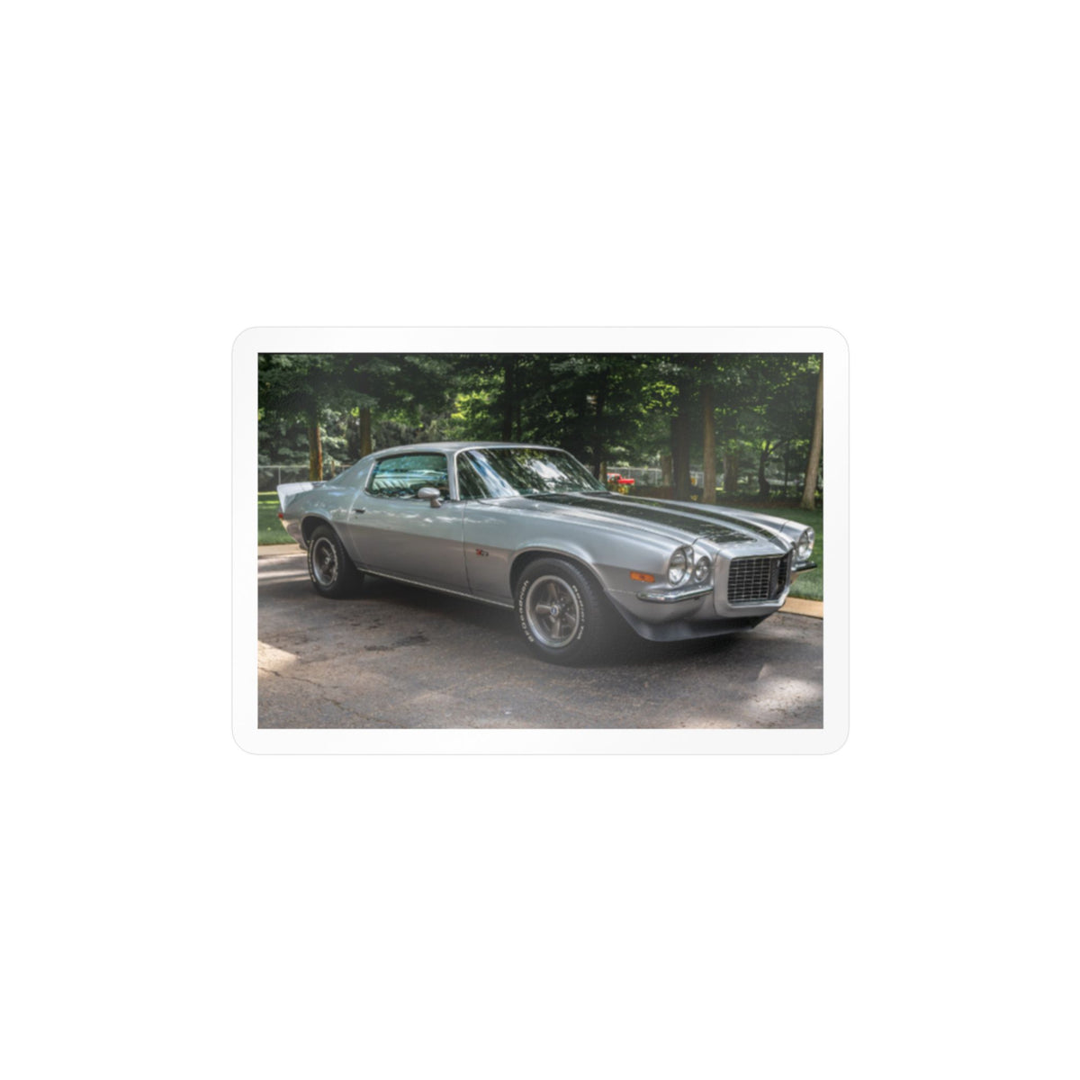 1970 Camaro Vinyl Decals